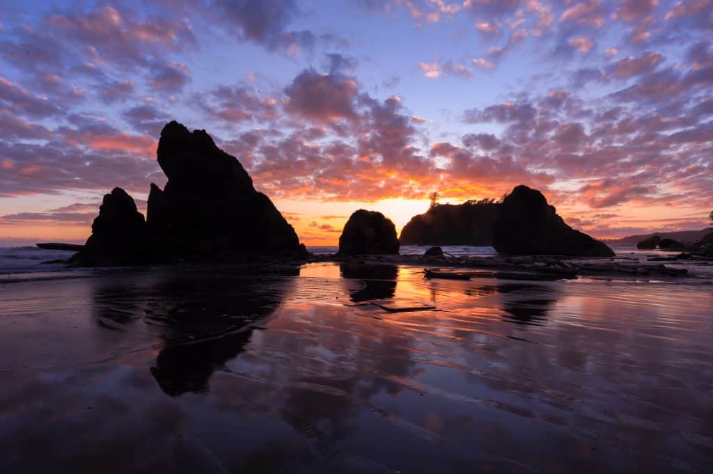 oregon beach