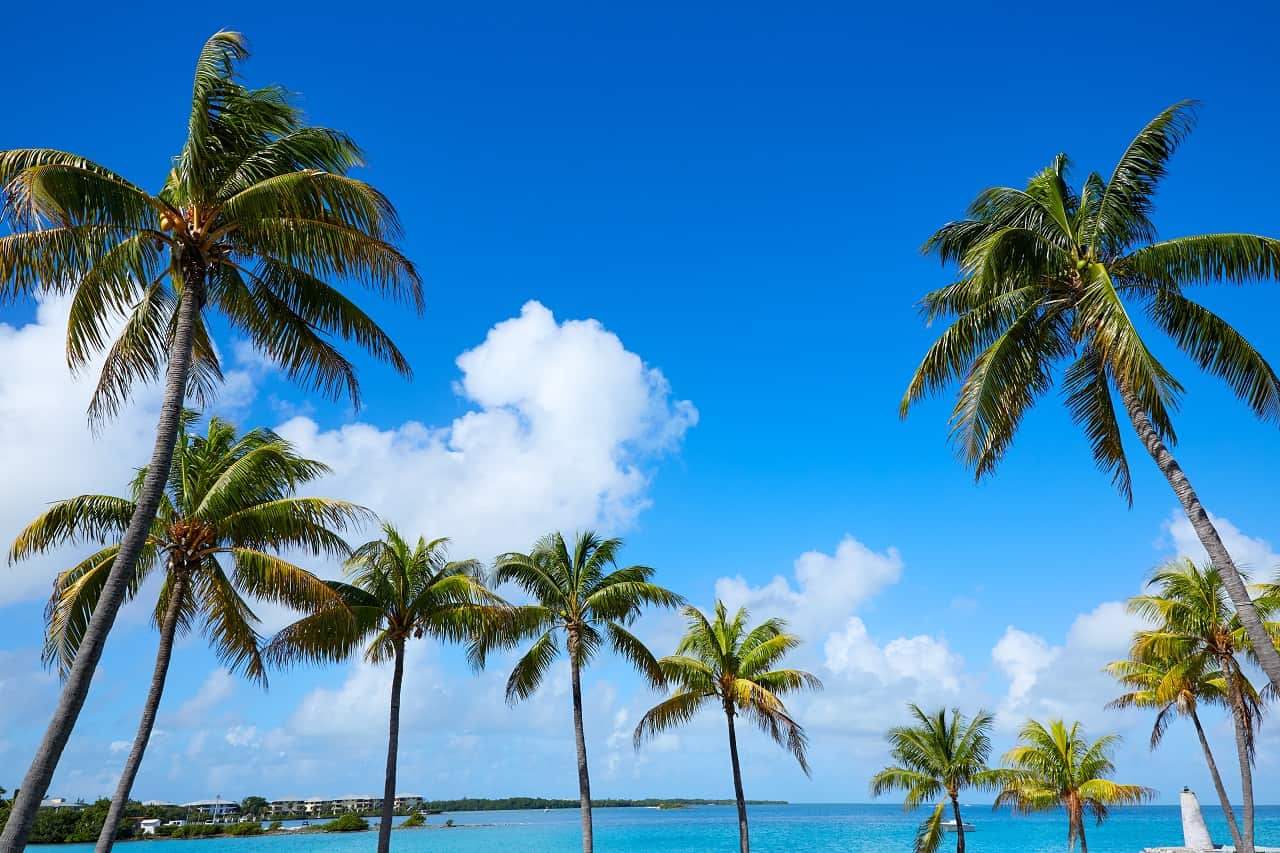 Moving from California to Florida