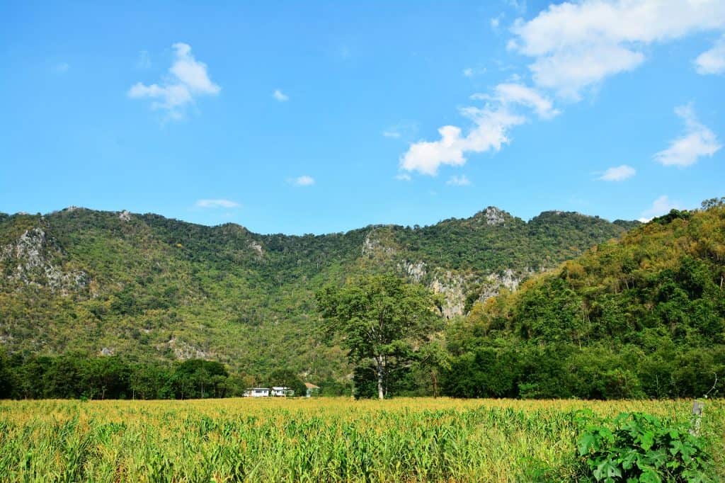 Best 1,600 Moving from California to North Carolina