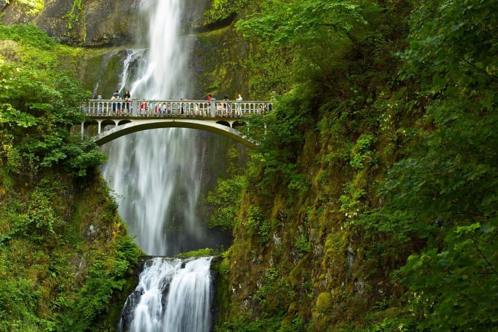 Moving Companies in Oregon