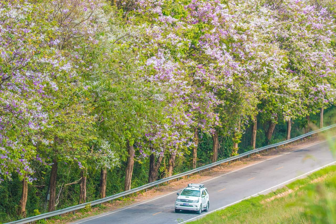 Moving Companies in South Carolina