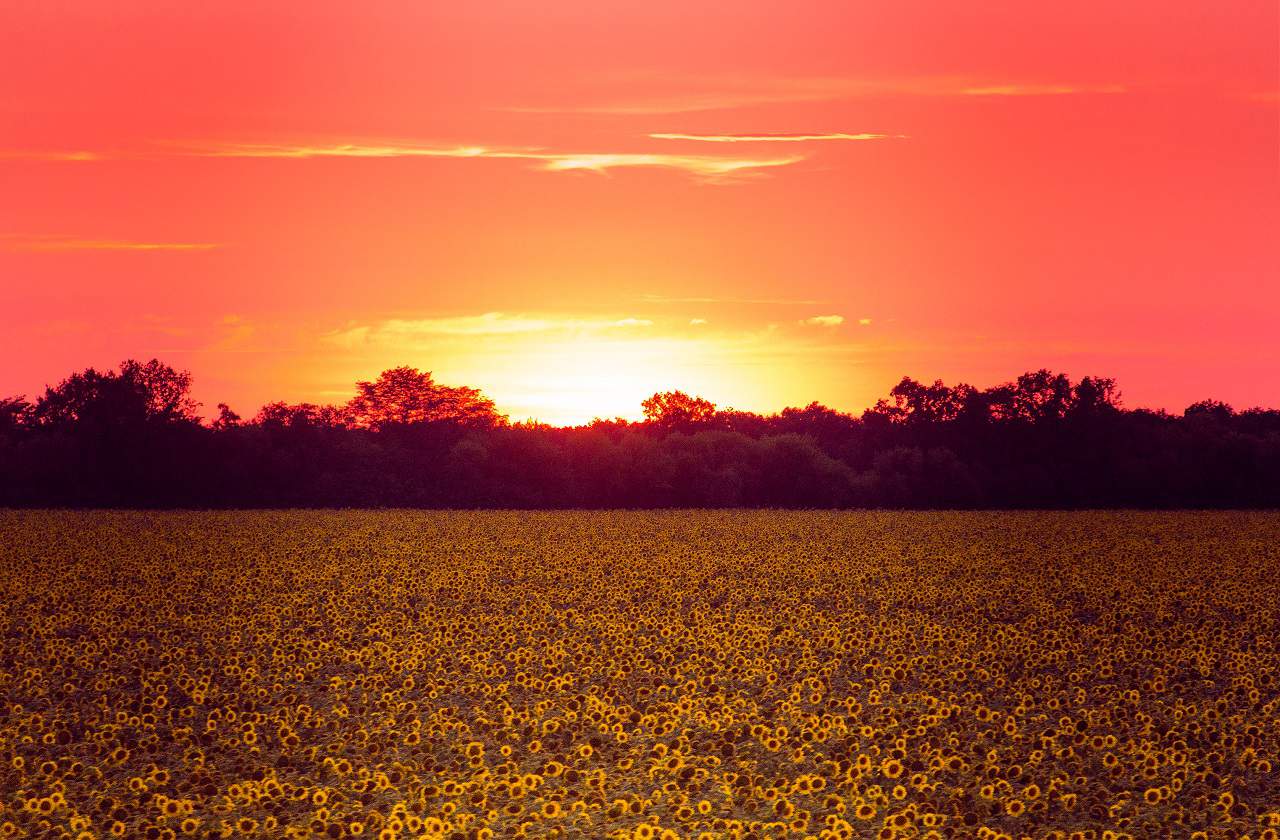 Iowa to Kansas