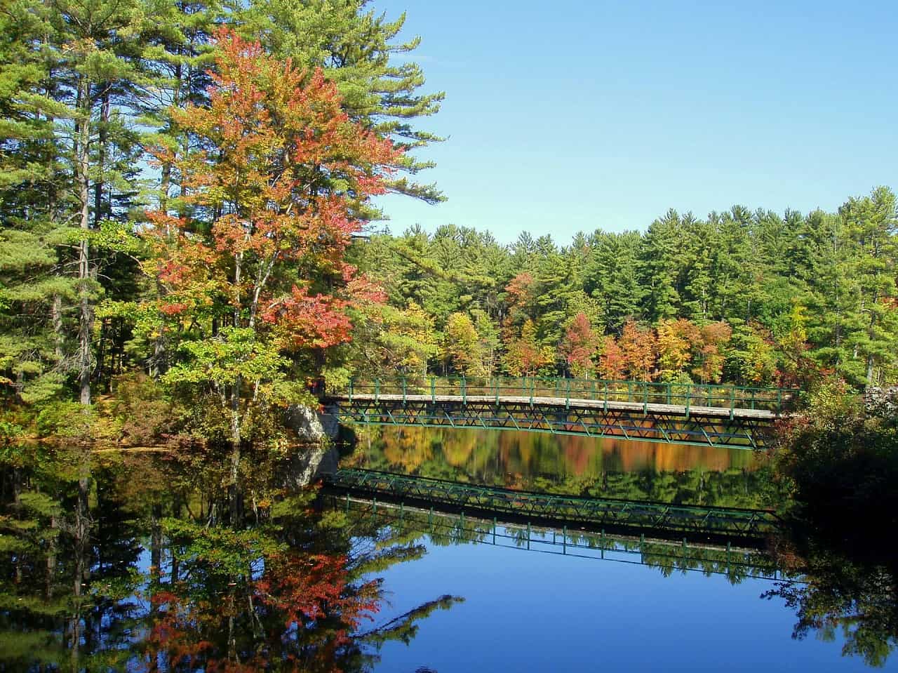 Moving From Florida To New Hampshire