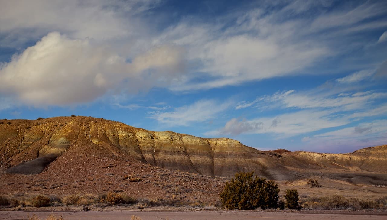 Florida to New Mexico